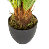 Stam och svart ytterkruka till den Konstgjorda växten CYCAS från hjh OFFICE