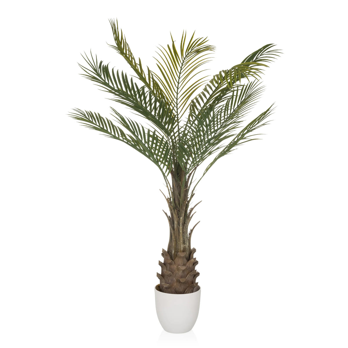 Grön Konstgjorda växter DRACAENA i form av en palm med vit kruka från hjh OFFICE – 360-gradersvy (sidoprofil 90°)
