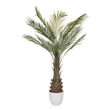 Grön Konstgjorda växter DRACAENA i form av en palm med vit kruka från hjh OFFICE – 360-gradersvy (sidoprofil 90°)
