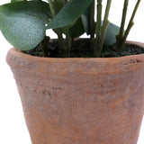 Terrakottakruka till den konstgjorda växten Eucalyptus med gröna blad från hjh OFFICE