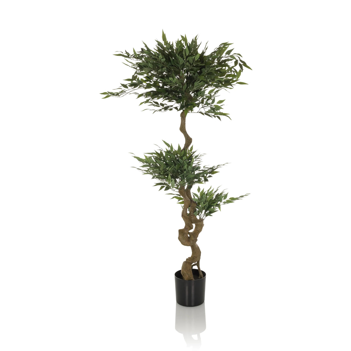 Grön Konstgjorda växter ACACIA med tvinnad stam i svart kruka från hjh OFFICE – 360-gradersvy (framifrån 0°)