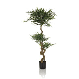 Grön Konstgjorda växter ACACIA med tvinnad stam i svart kruka från hjh OFFICE – 360-gradersvy (framifrån 0°)