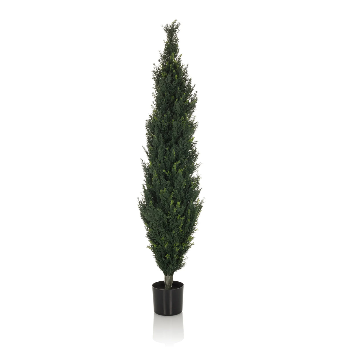 Grön Konstgjorda växter CEDRUS i form av en hög cypress med svart kruka från hjh OFFICE – 360-gradersvy (framifrån 0°)