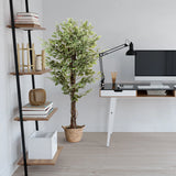 Konstgjord växt FICUS i grönt med en flätad korg som kruka från hjh OFFICE