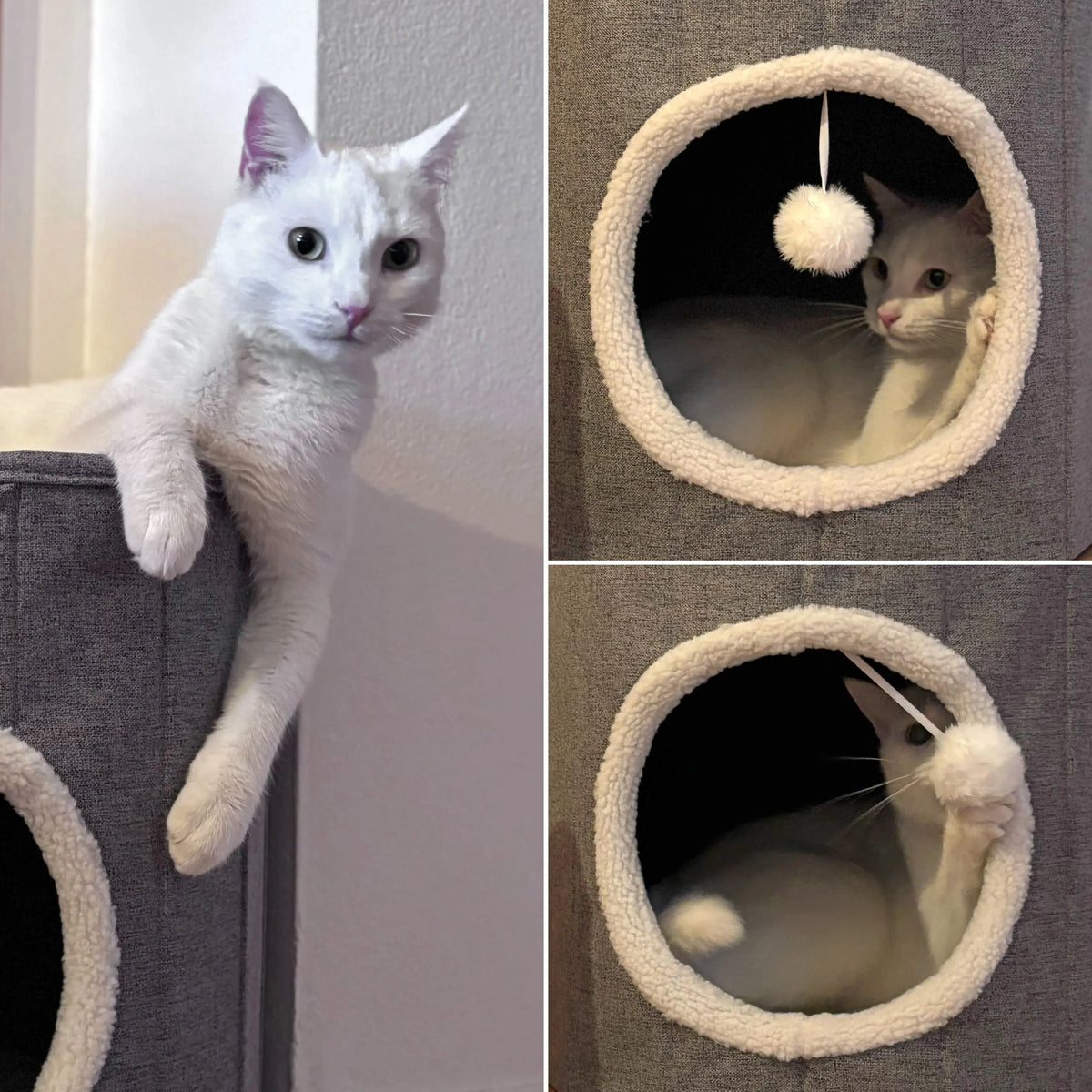Grå Kattgrotta PAWY R med mjuk, vit innerfoder och lekboll från hjh LIVING