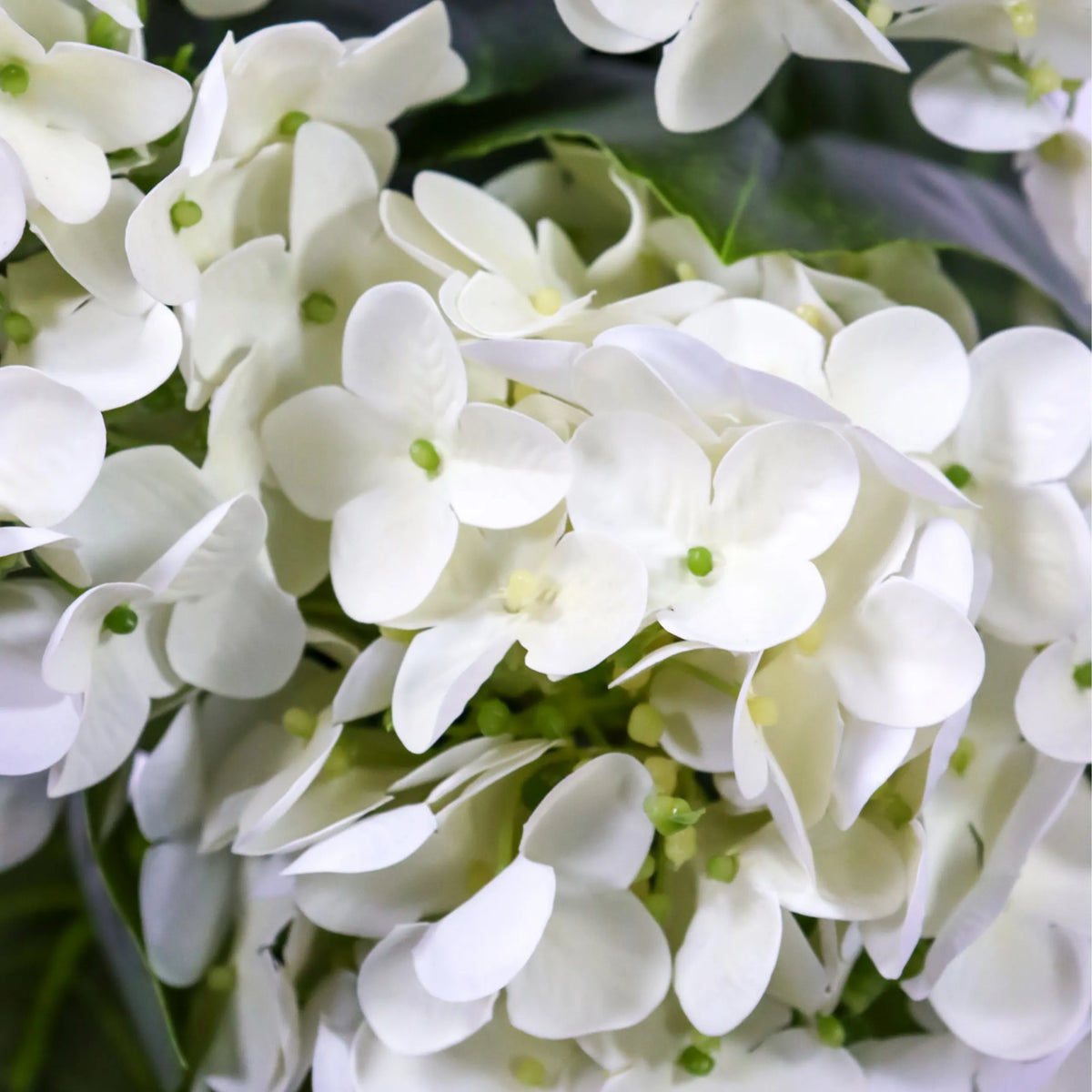 Vita blommor på de Konstgjorda växter HYDRANGEA med gröna detaljer från hjh OFFICE