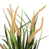 Beige-gröna gräsen från den konstgjorda växten CORTADERIA I med luddiga blomställningar från hjh OFFICE