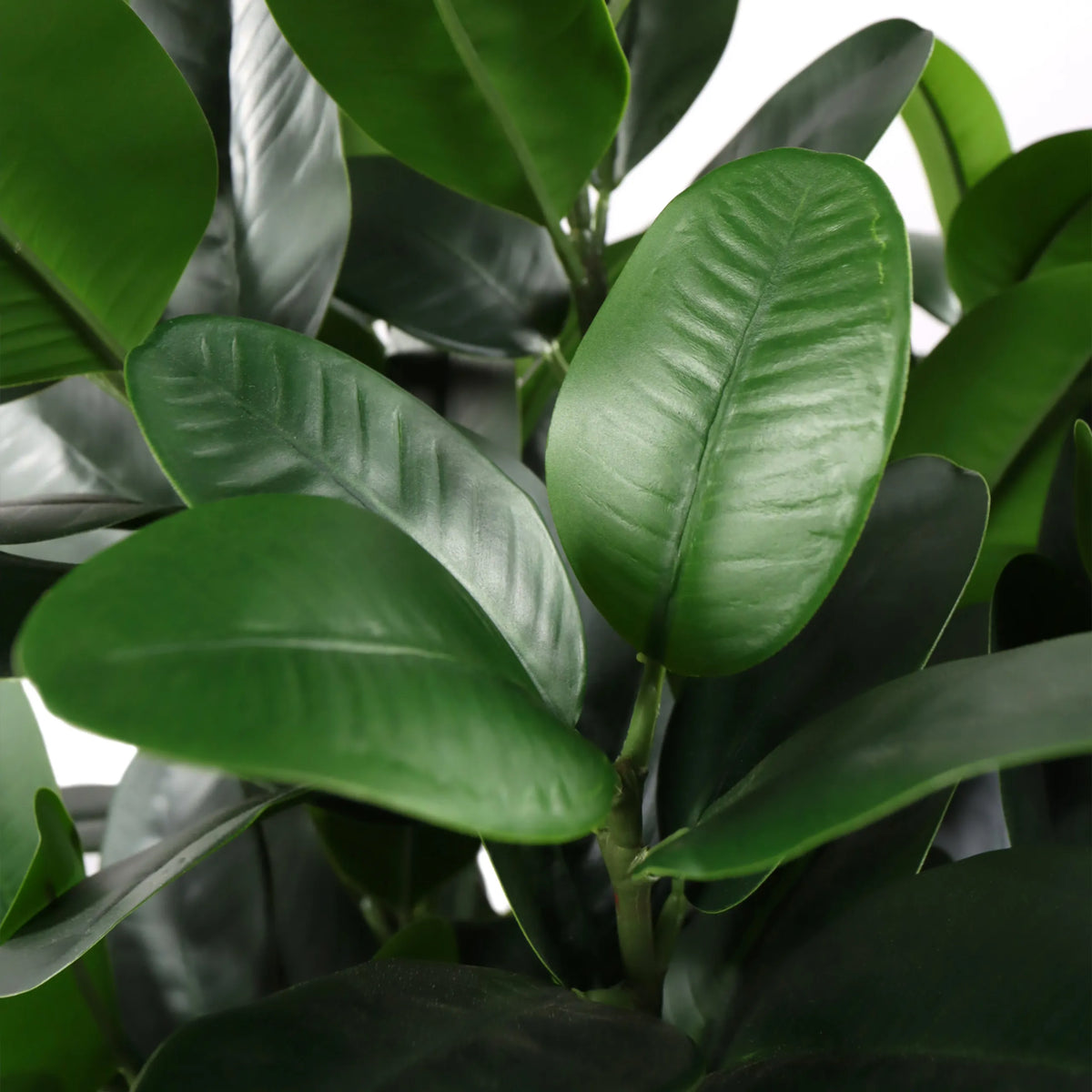 Gröna blad från den konstgjorda växten Garcinia från hjh OFFICE