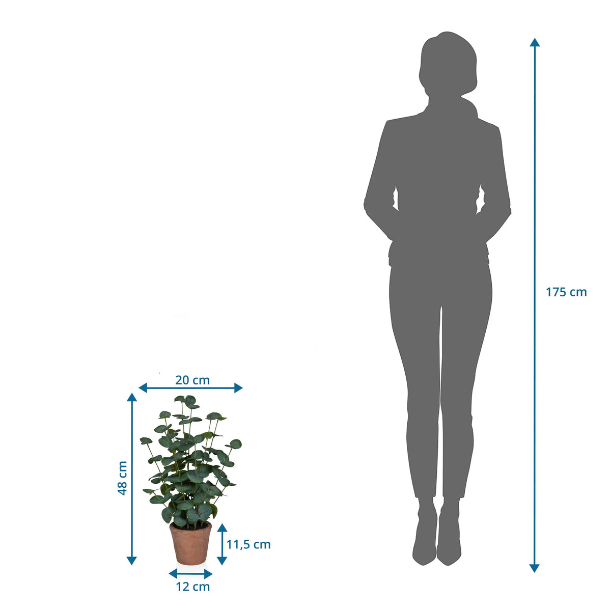 Måttskiss av Konstgjorda växter Eucalyptus med en höjd på 48 cm bredvid en personsiluett från hjh OFFICE