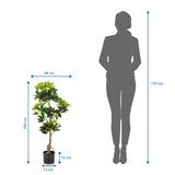 Måttbild av Konstgjorda växter SCHEFFLERA med en höjd på 100 cm och bredd på 38 cm från hjh OFFICE