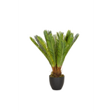 Gröna Konstgjorda växter CYCAS i en svart kruka från hjh OFFICE – 360-gradersvy (framifrån 0°)