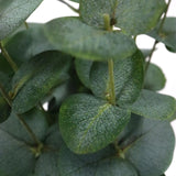 Grüne Blätter der Kunstpflanze Eucalyptus von hjh OFFICE