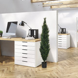 Grön konstgjorda växter CEDRUS i en svart kruka på kontoret från hjh OFFICE