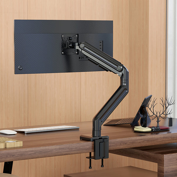 Monitorfästen