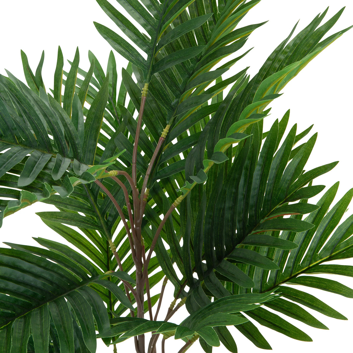 Gröna blad från den konstgjorda växten ARECA från hjh OFFICE
