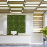 Grön växtmatta MORE GREEN I som vertikal grönska på en ljus betongvägg i en reception från hjh OFFICE