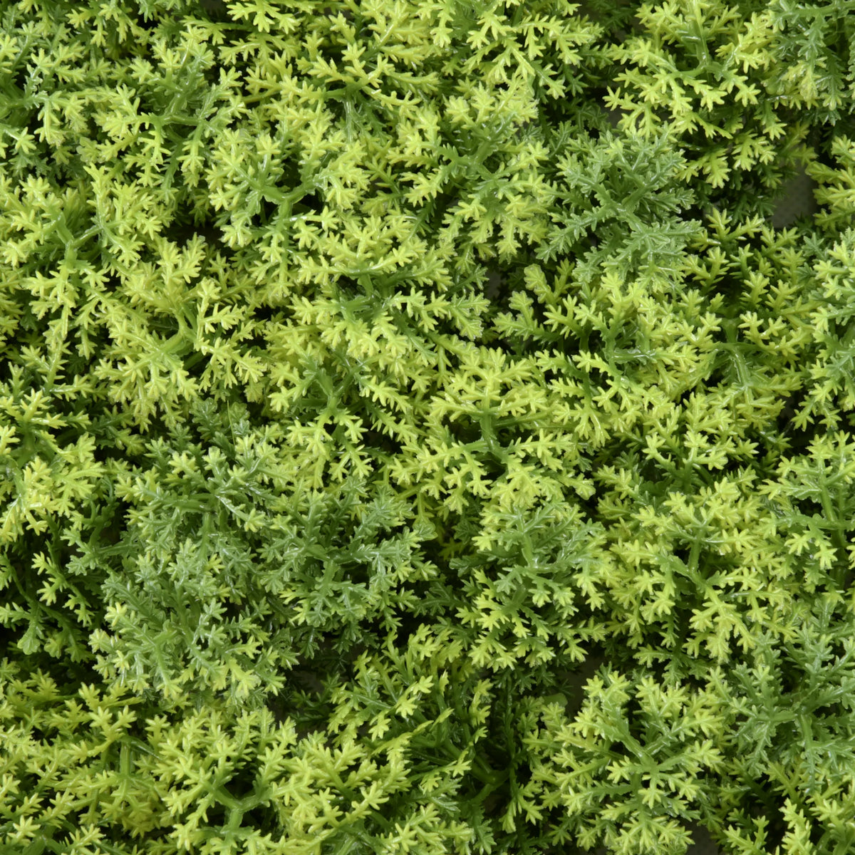 Grön textur av Växtmatta LEAFLUXE 3 från hjh LIVING