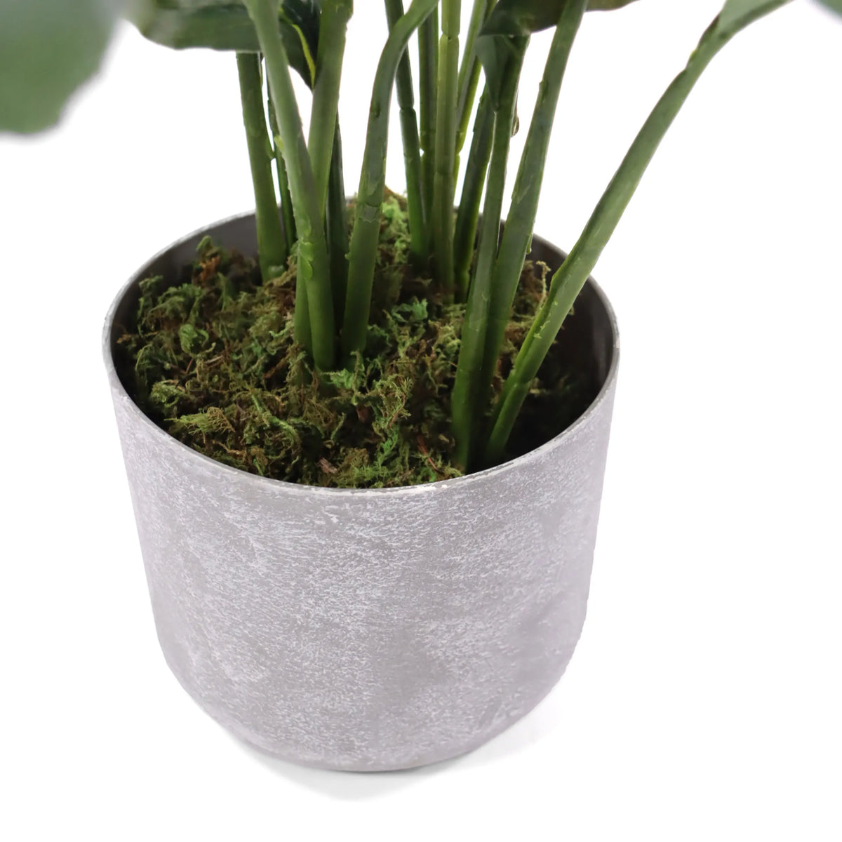 Grå kruka med grön mossa från den konstgjorda växten Spathiphyllum 1 från hjh OFFICE