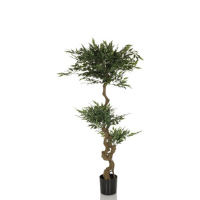 Grön Konstgjorda växter ACACIA med böjd brun stam i svart kruka från hjh OFFICE