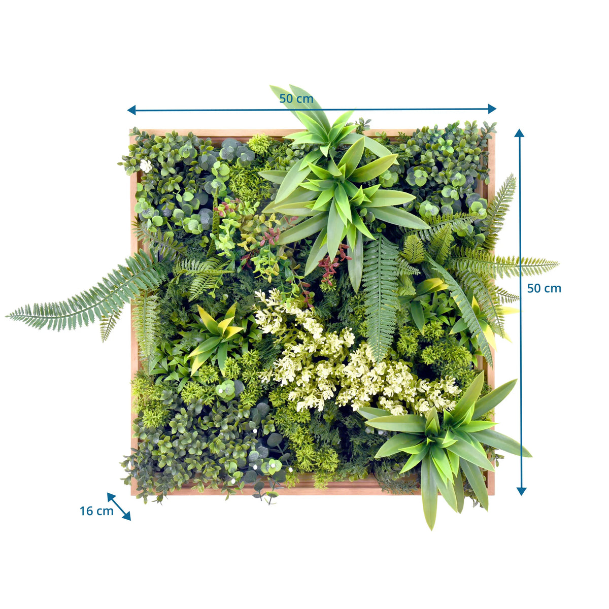 Måttritning av Växtmatta LEAFLUXE WALL 1 med 50 × 50 cm och 16 cm djup från hjh LIVING