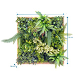 Måttritning av Växtmatta LEAFLUXE WALL 1 med 50 × 50 cm och 16 cm djup från hjh LIVING