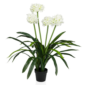 Konstgjorda växter AGAPANTHUS med vita blommor, gröna blad och svart kruka från hjh OFFICE