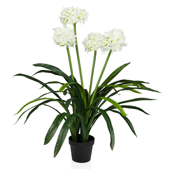 Konstgjorda växter AGAPANTHUS med vita blommor, gröna blad och svart kruka från hjh OFFICE