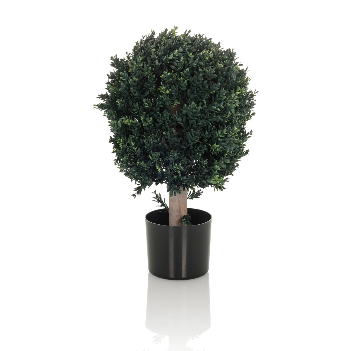 Grön Konstgjorda växter BUXUS i form av ett klotformat träd med svart kruka från hjh OFFICE – 360-gradersvy (sidoprofil 90°)