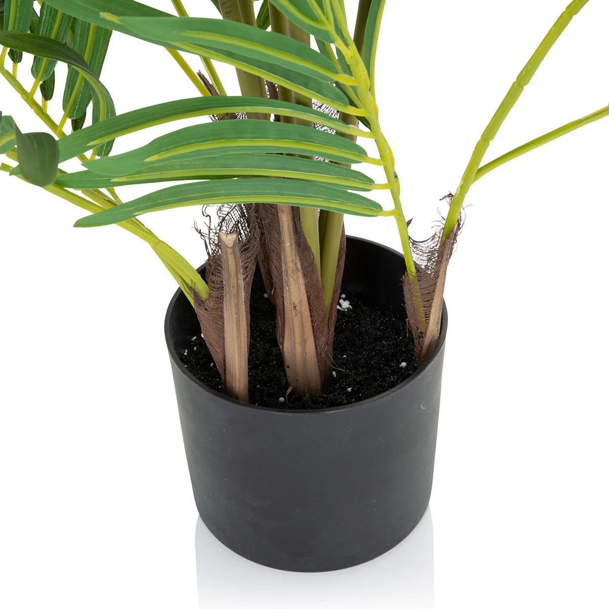 Stjälkar och svart kruka för de Konstgjorda växter ARECA I från hjh OFFICE