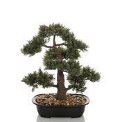 Konstgjorda växter BONSAI i form av en grön bonsai i en svart skål med småsten från hjh OFFICE