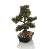 Grön Konstgjorda växter BONSAI i form av en bonsai i en svart kruka med småsten från hjh OFFICE – 360-gradersvy (bakifrån 180°)
