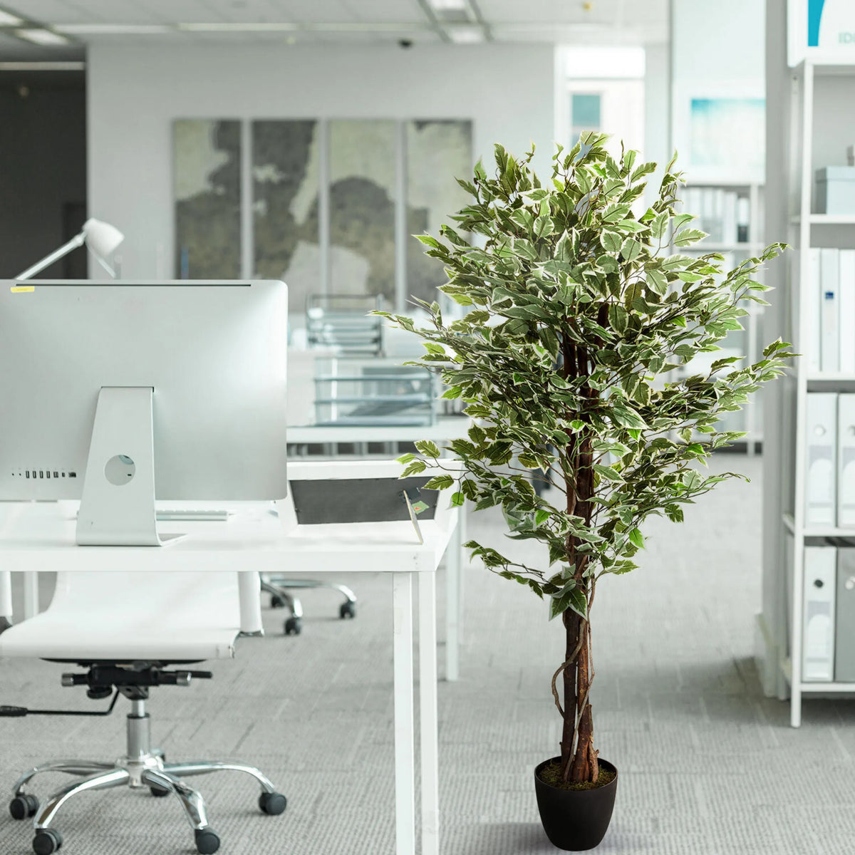 Grön konstgjord växt FICUS i en svart kruka bredvid ett skrivbord från hjh OFFICE