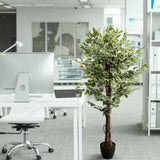 Grön konstgjord växt FICUS i en svart kruka bredvid ett skrivbord från hjh OFFICE