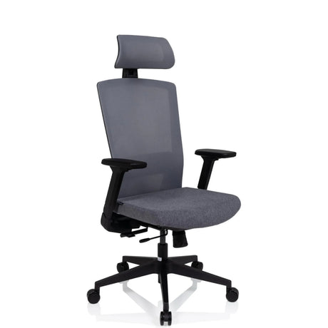 Grå Professionell kontorsstol CAPTIVO med nackstöd och svarta armstöd från hjh OFFICE