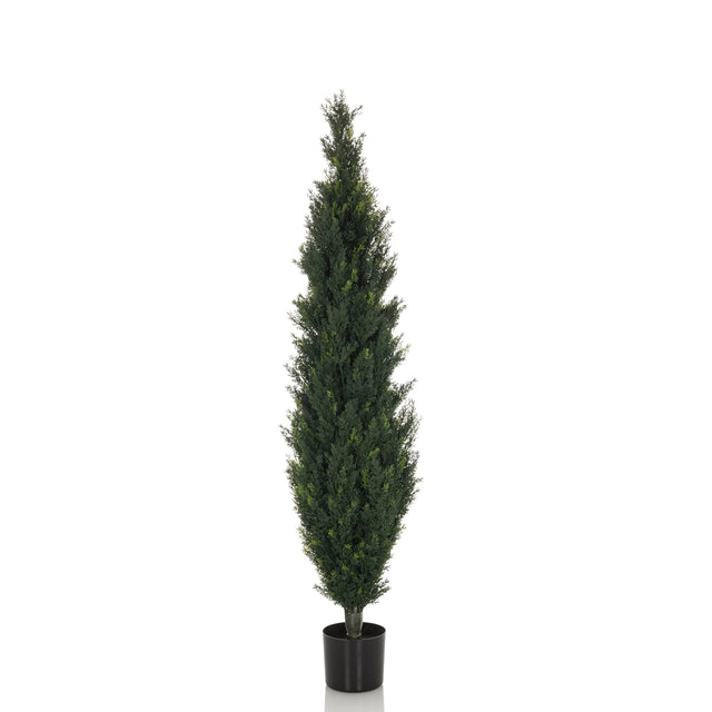 Grön Konstgjorda växter CEDRUS i slank form med svart kruka från hjh OFFICE