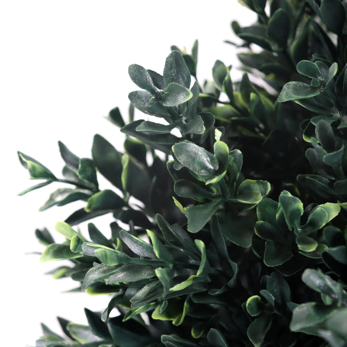 Gröna blad från de Konstgjorda växter BUXUS från hjh OFFICE