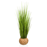 CORTADERIA - Konstgjorda växter 