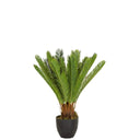 Grön Konstgjorda växter CYCAS med ormbunksliknande blad i en svart kruka från hjh OFFICE