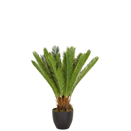 Grön Konstgjorda växter CYCAS med ormbunksliknande blad i en svart kruka från hjh OFFICE