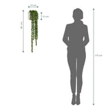 Måttskiss av väggdekorationen Senecio Climb med en total längd på 60 cm bredvid en personsilhuett från hjh OFFICE