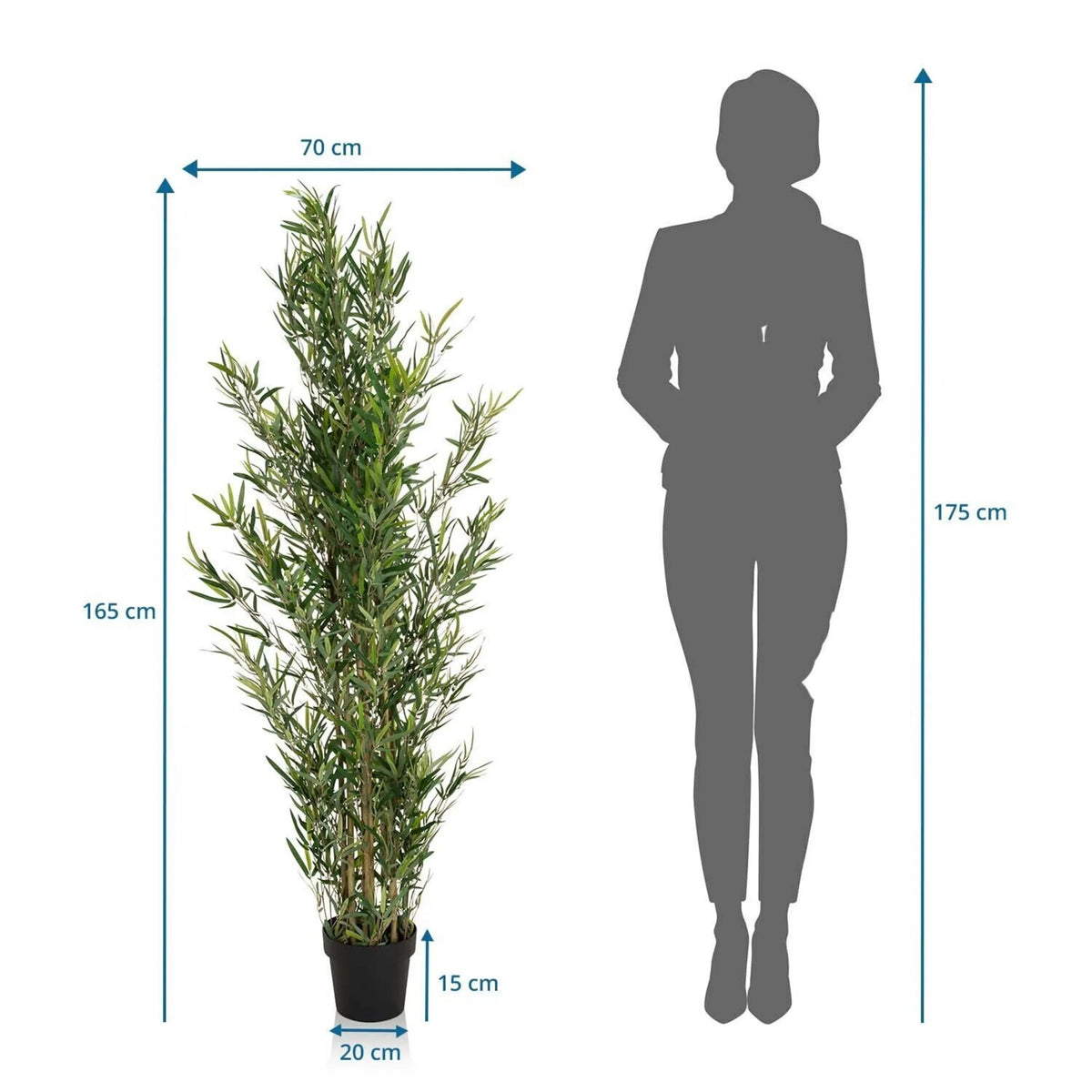Måttskiss av Konstgjorda växter BAMBUS med en höjd på 165 cm och en bredd på 70 cm från hjh OFFICE