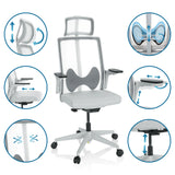 Olika inställningsmöjligheter för Professionell kontorsstol ARCEO W i grått från hjh OFFICE