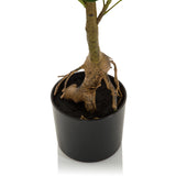 Stam och rotområde på den konstgjorda växten SCHEFFLERA i en svart kruka från hjh OFFICE