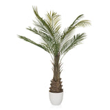 Grön Konstgjorda växter DRACAENA i form av en palm med vit kruka från hjh OFFICE – 360-gradersvy (framifrån 0°)