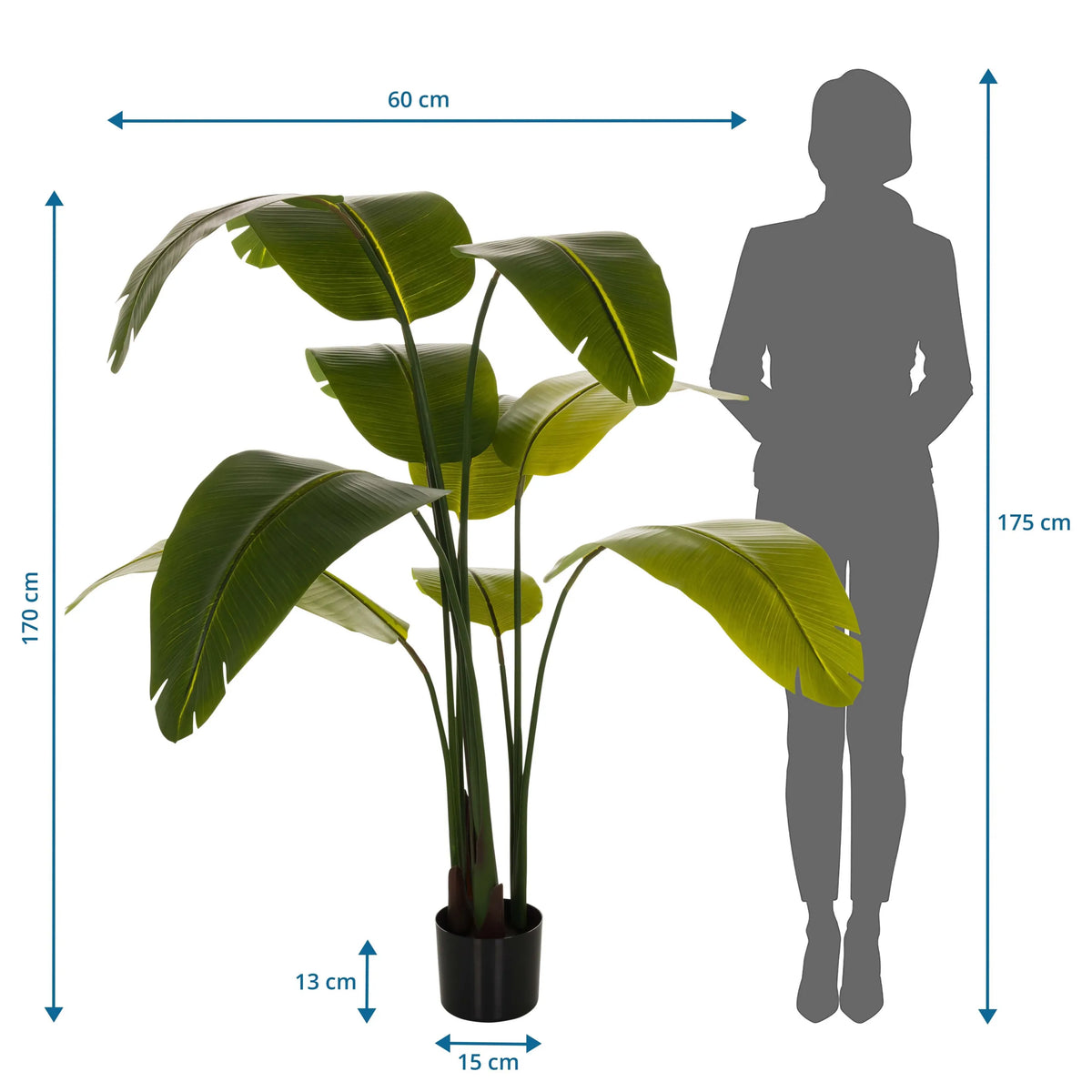 Måttritning av Konstgjorda växter BANANE med en höjd på 170 cm och en bredd på 60 cm från hjh OFFICE