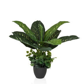Grön Konstgjorda växter DIEFFENBACHIA med stora blad i en svart kruka från hjh OFFICE