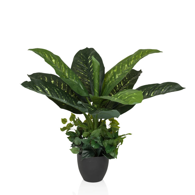 Grön Konstgjorda växter DIEFFENBACHIA med stora blad i en svart kruka från hjh OFFICE
