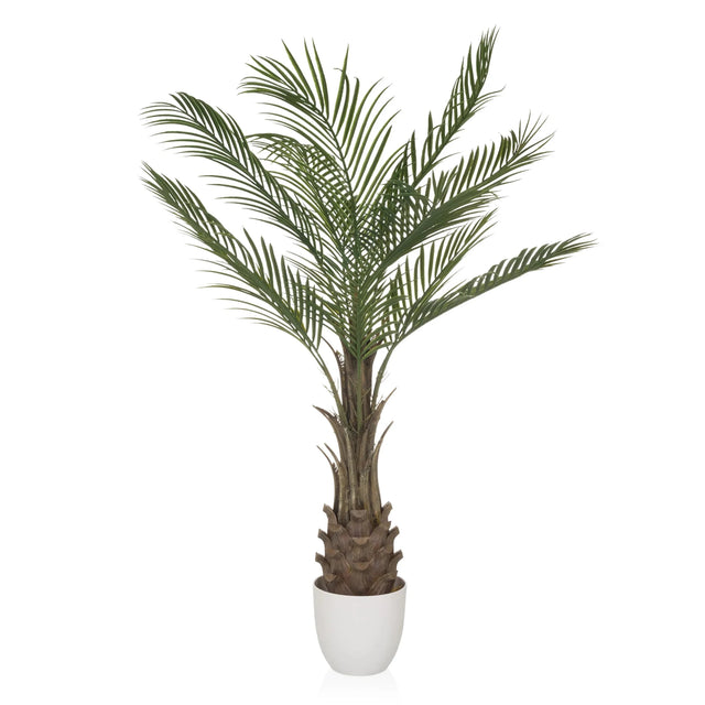 Grön Konstgjorda växter DRACAENA med solfjäderformade palmblad i en vit kruka från hjh OFFICE