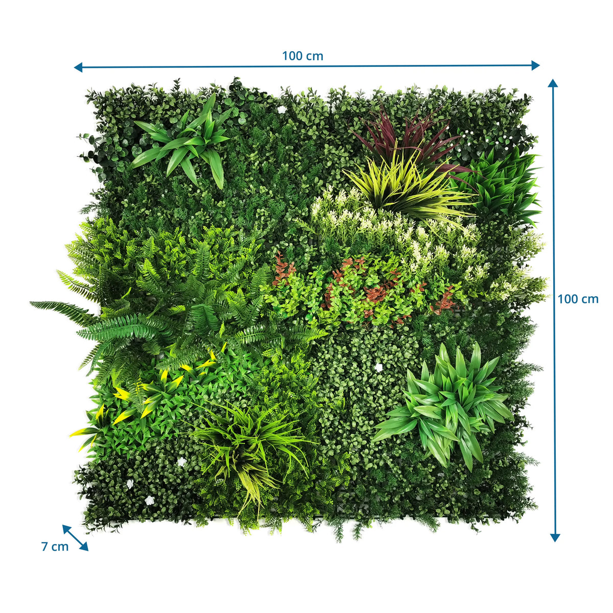 Måttskiss av Växtmatta LEAFLUXE 3D med 100 × 100 × 7 cm från hjh LIVING