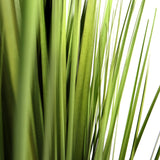 Gröna blad från den konstgjorda växten CORTADERIA från hjh OFFICE
